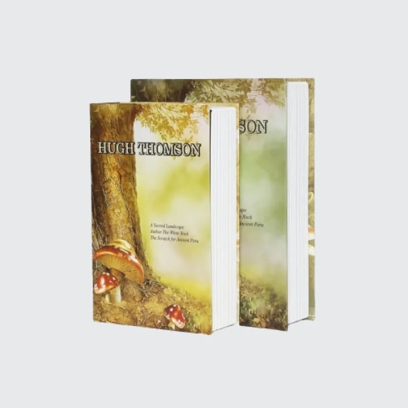 Custom Book Boxes - Image 3