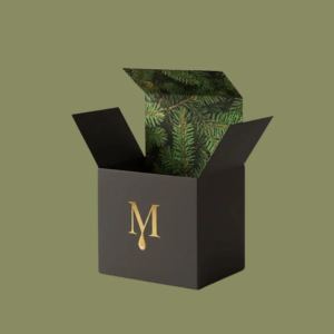 Tongue Lock Tuck Boxes